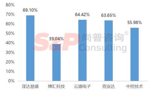 軟件和信息技術服務業企業IPO募投項目設計與審核要點——以信息技術咨詢服務為例